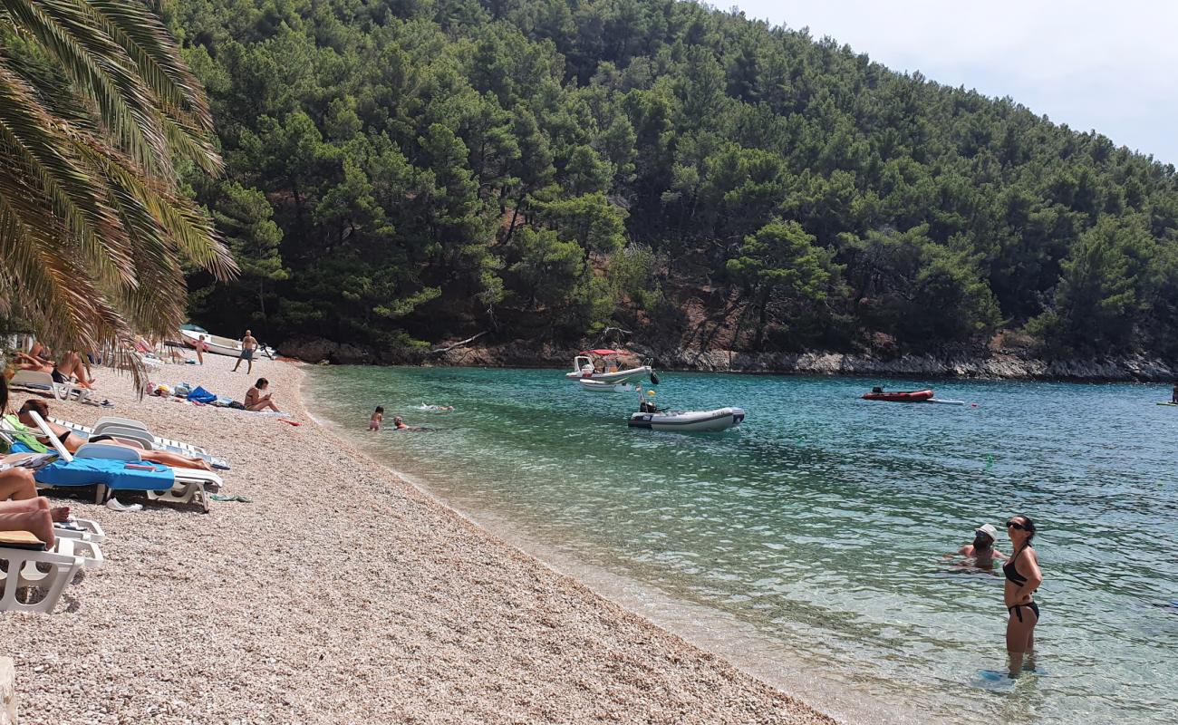 Photo de Smokvina beach avec caillou clair de surface