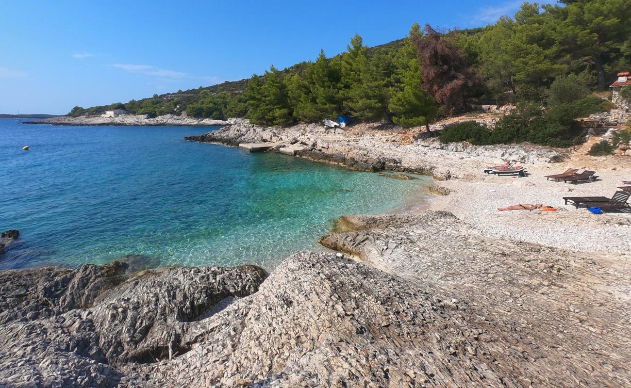 Photo de Robinson beach avec caillou blanc de surface