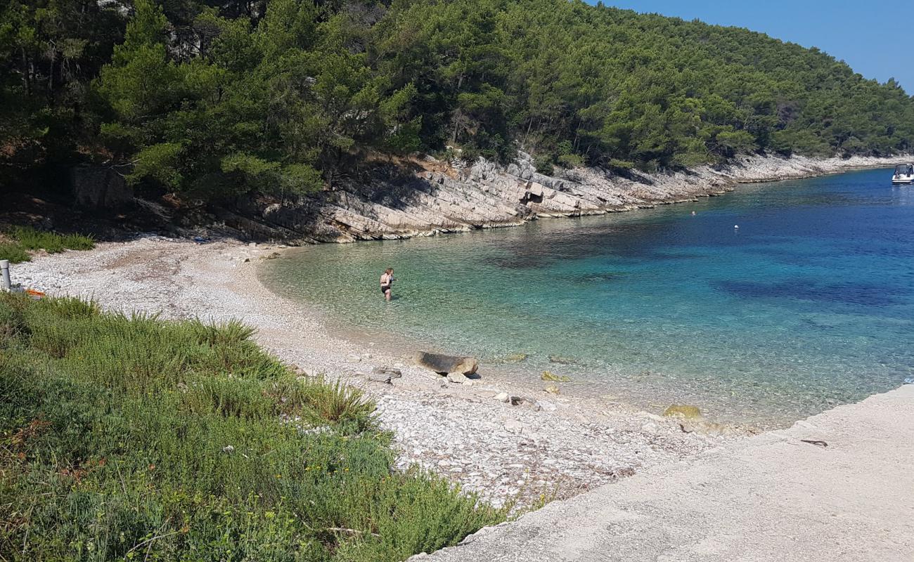 Photo de Sviracina beach avec caillou clair de surface