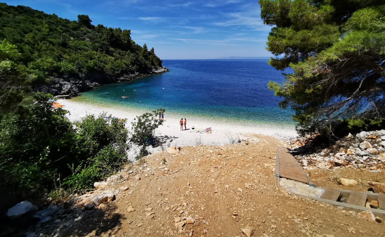 Photo de Vaja Bay avec caillou blanc de surface