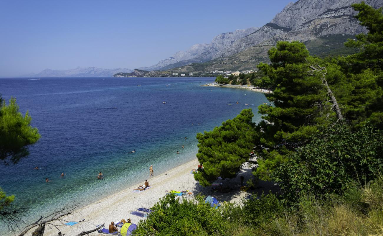 Photo de Dracevac Beach avec caillou clair de surface