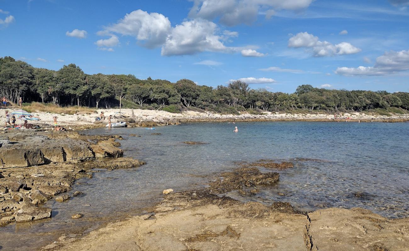 Photo de Plaza Palud avec roches de surface