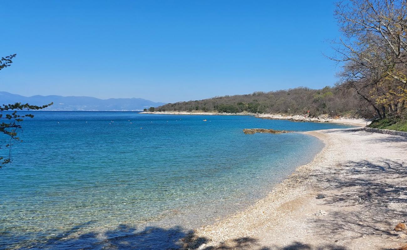 Photo de Dog Beach Atea Camping avec caillou gris de surface