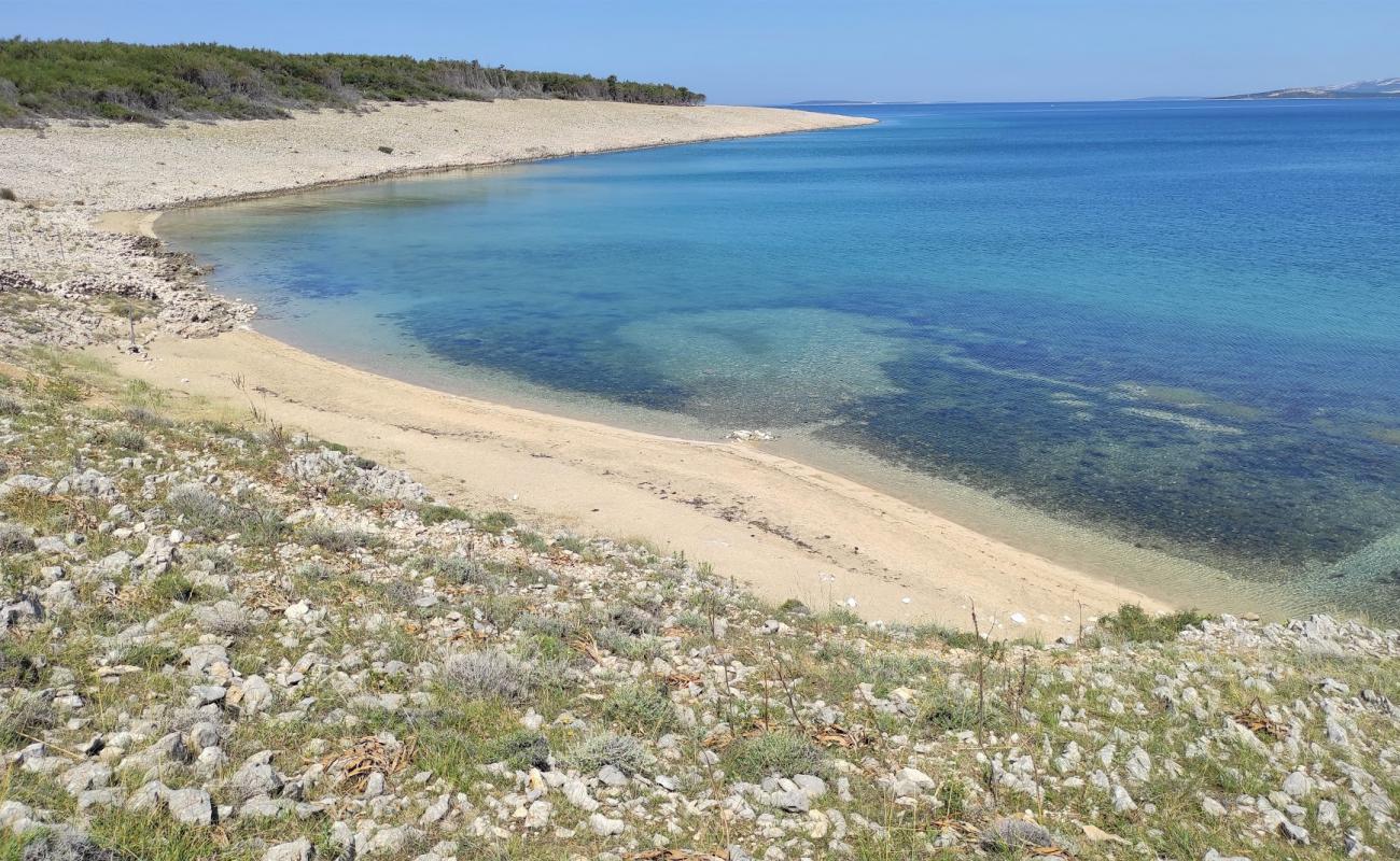 Photo de Povljana Naturist Beach avec sable lumineux de surface