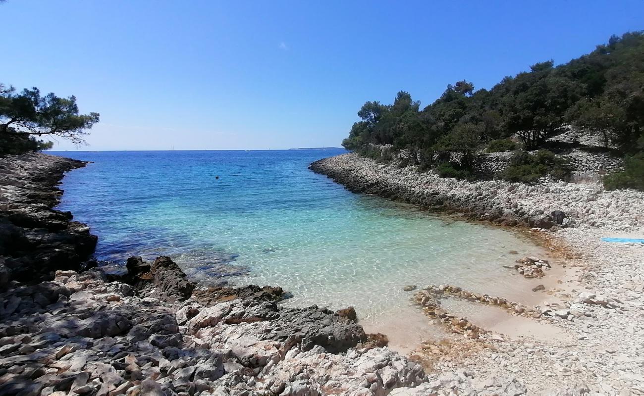 Photo de Cuanguski Zaljev avec roches de surface