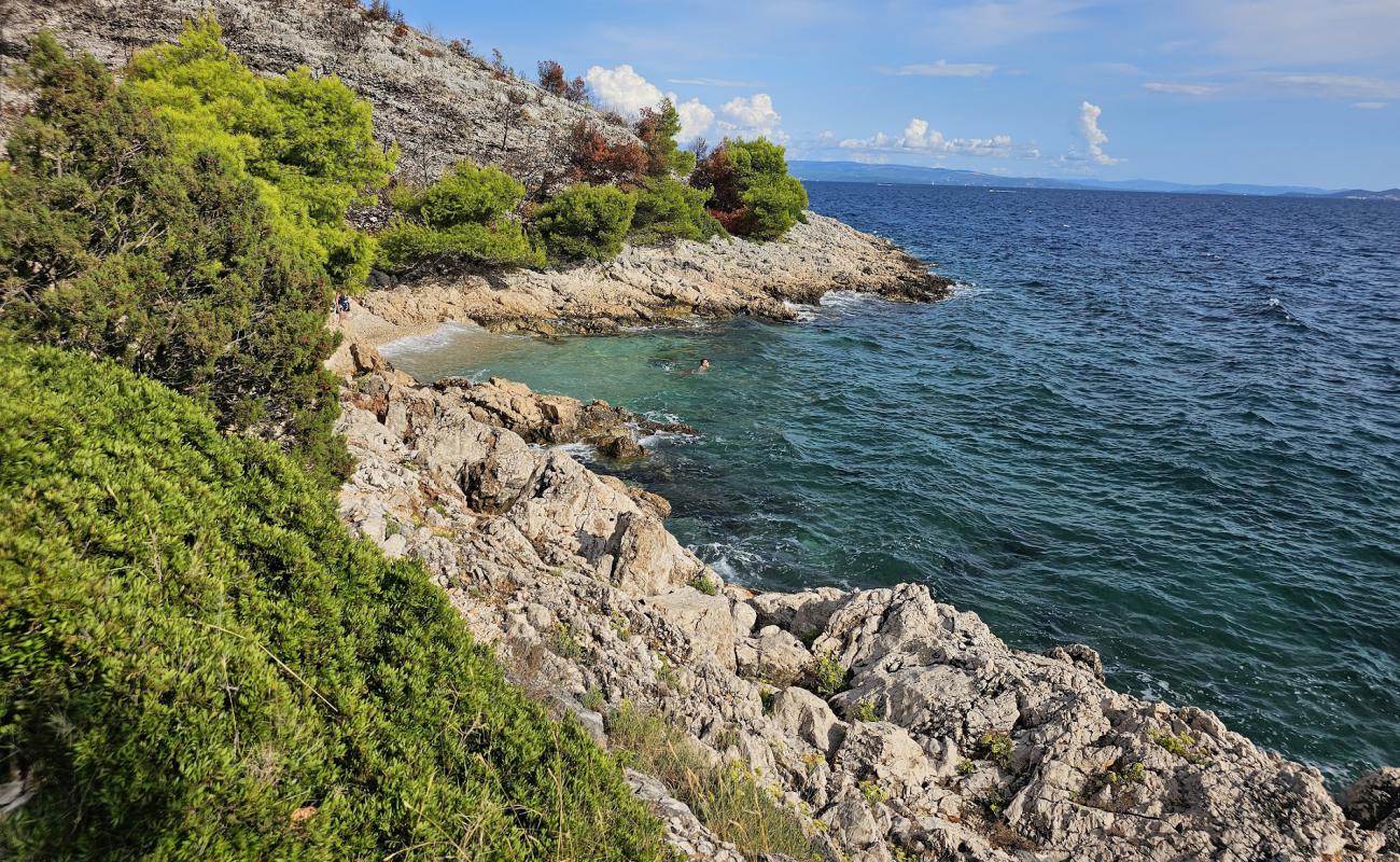 Photo de Mala Draga Beach avec caillou clair de surface