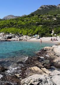 Trstenik