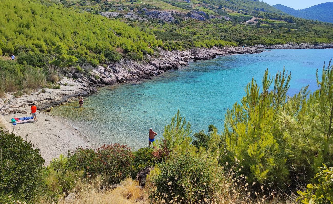 Photo de Plaza Skamp avec caillou fin clair de surface