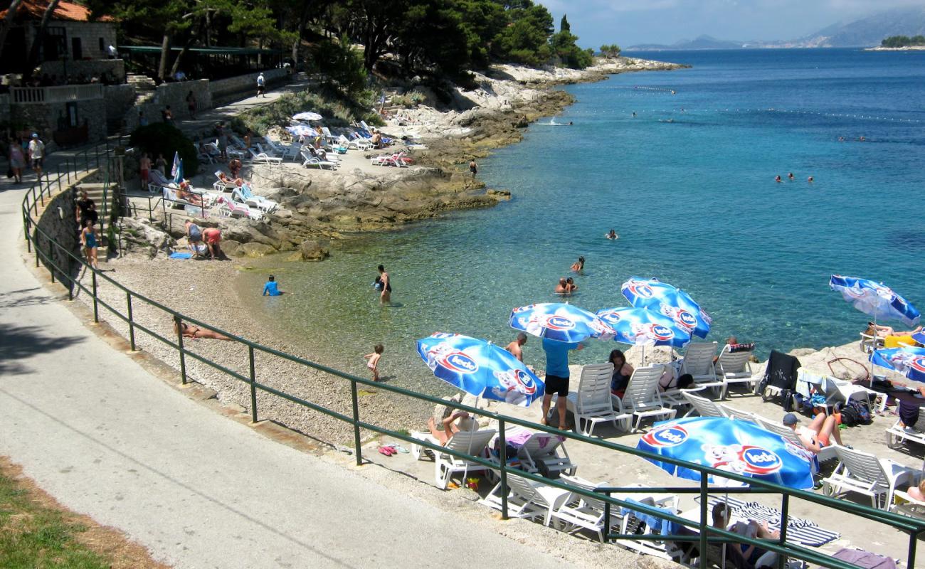 Photo de Beach Rat avec caillou fin gris de surface