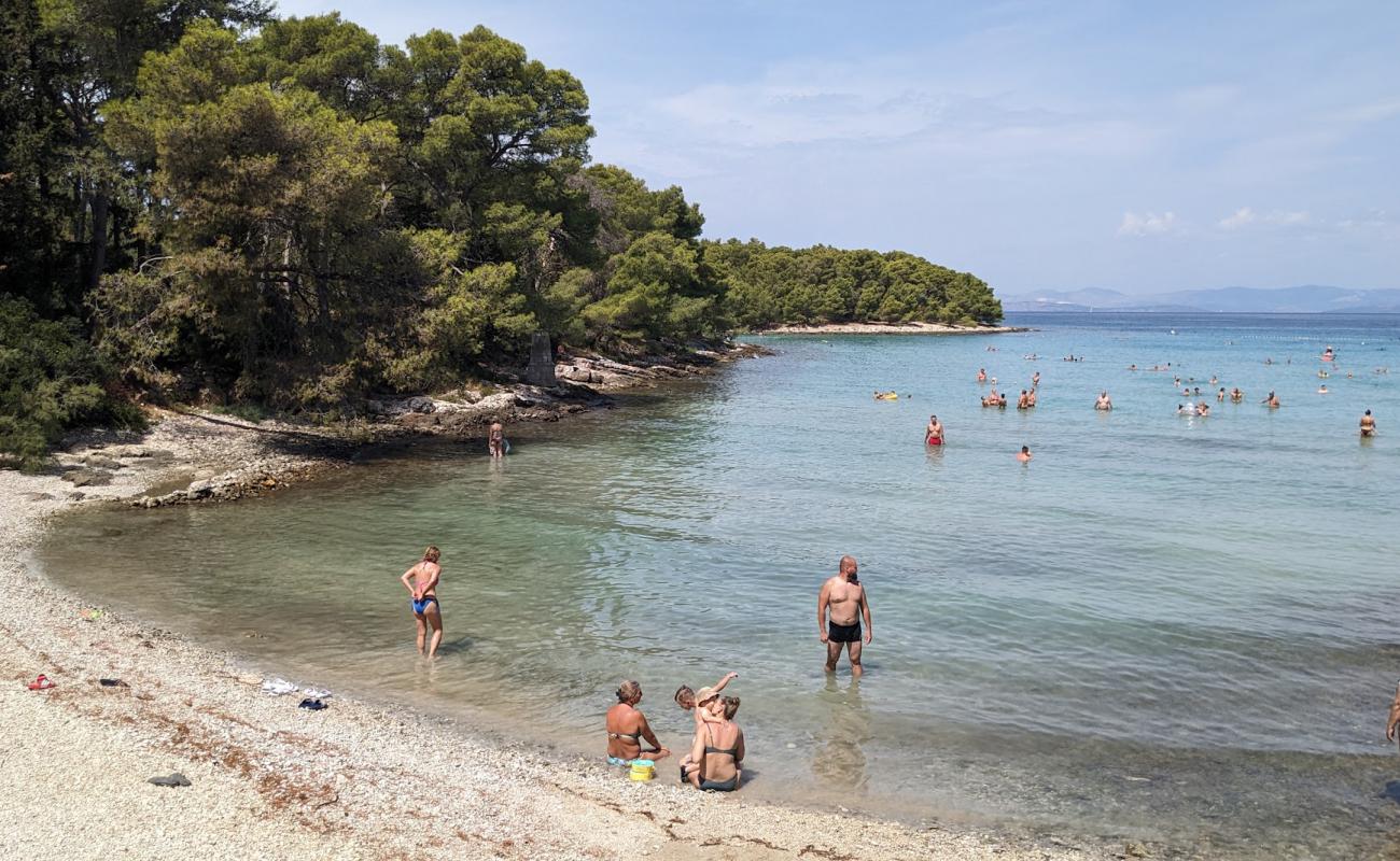 Photo de Plaza Mala Luka avec caillou gris de surface