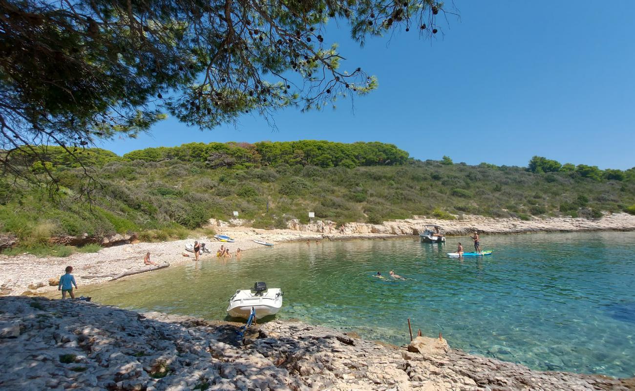 Photo de Tarsce Bay avec caillou clair de surface