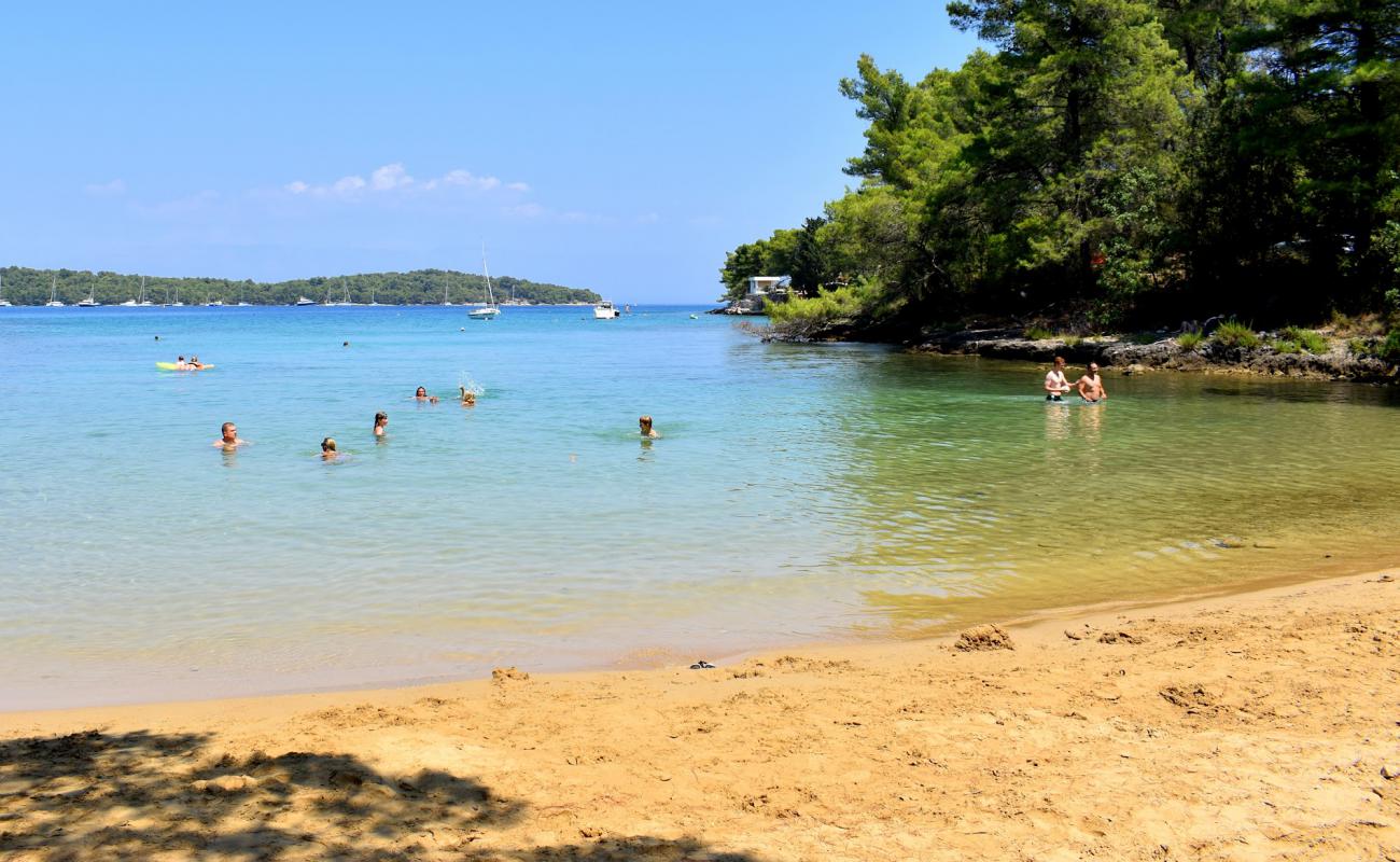 Photo de Sandy Beach, Vitarnja avec sable lumineux de surface