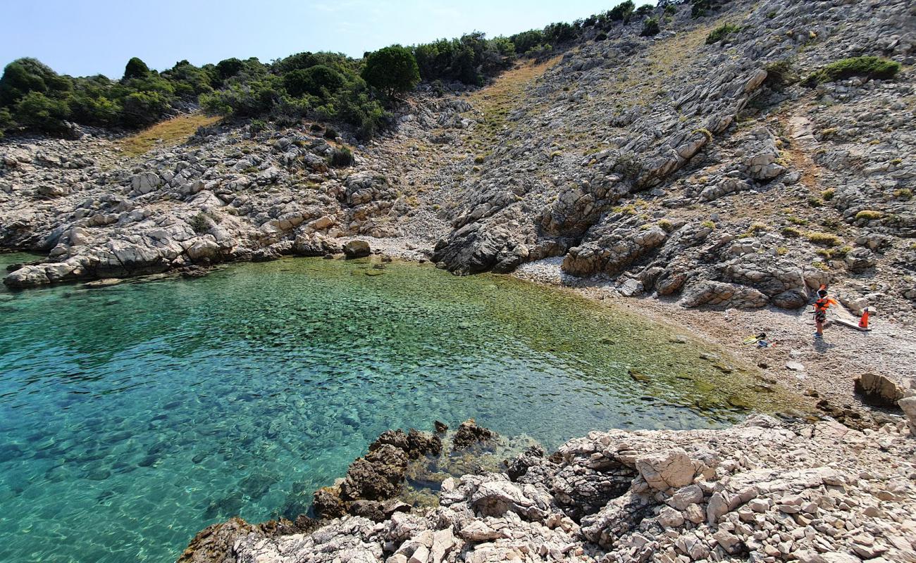 Photo de Vela Draga Beach avec caillou clair de surface