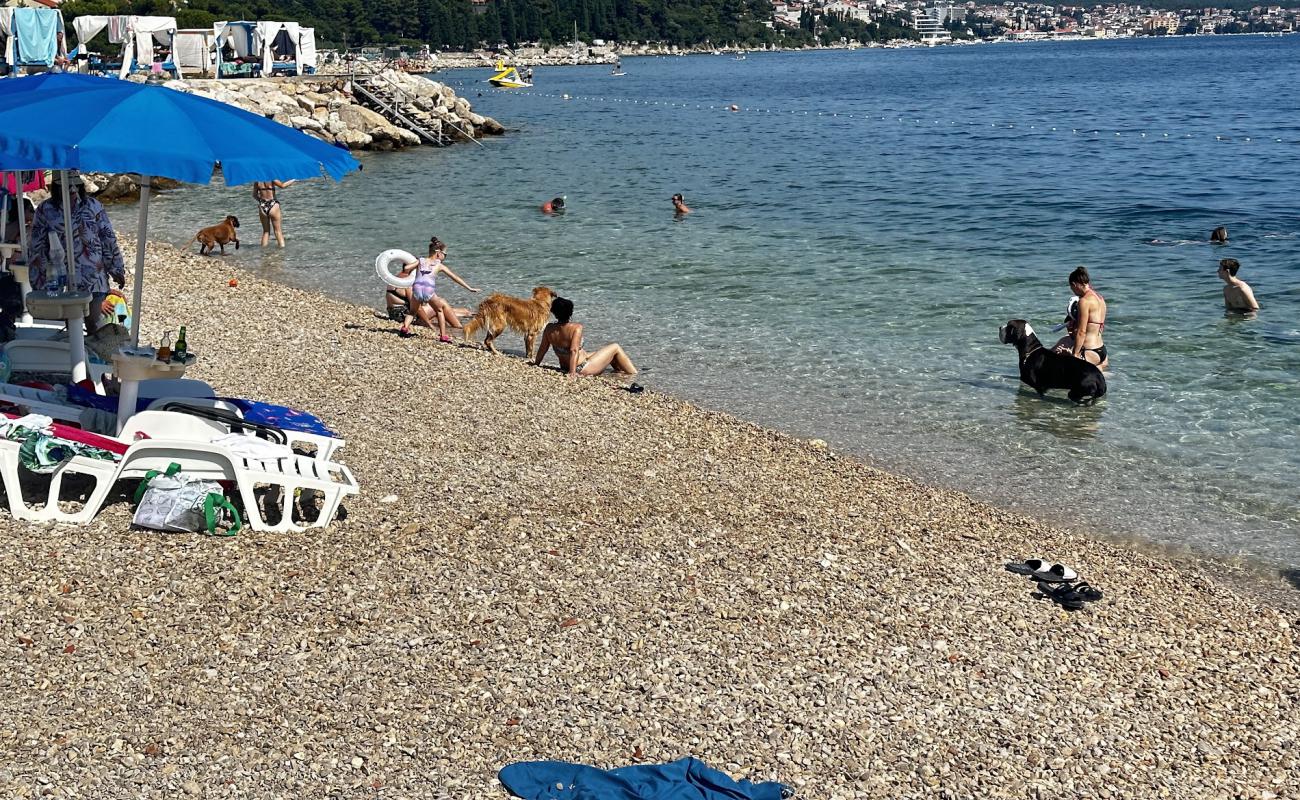 Photo de Monty's Dog Beach avec caillou fin gris de surface