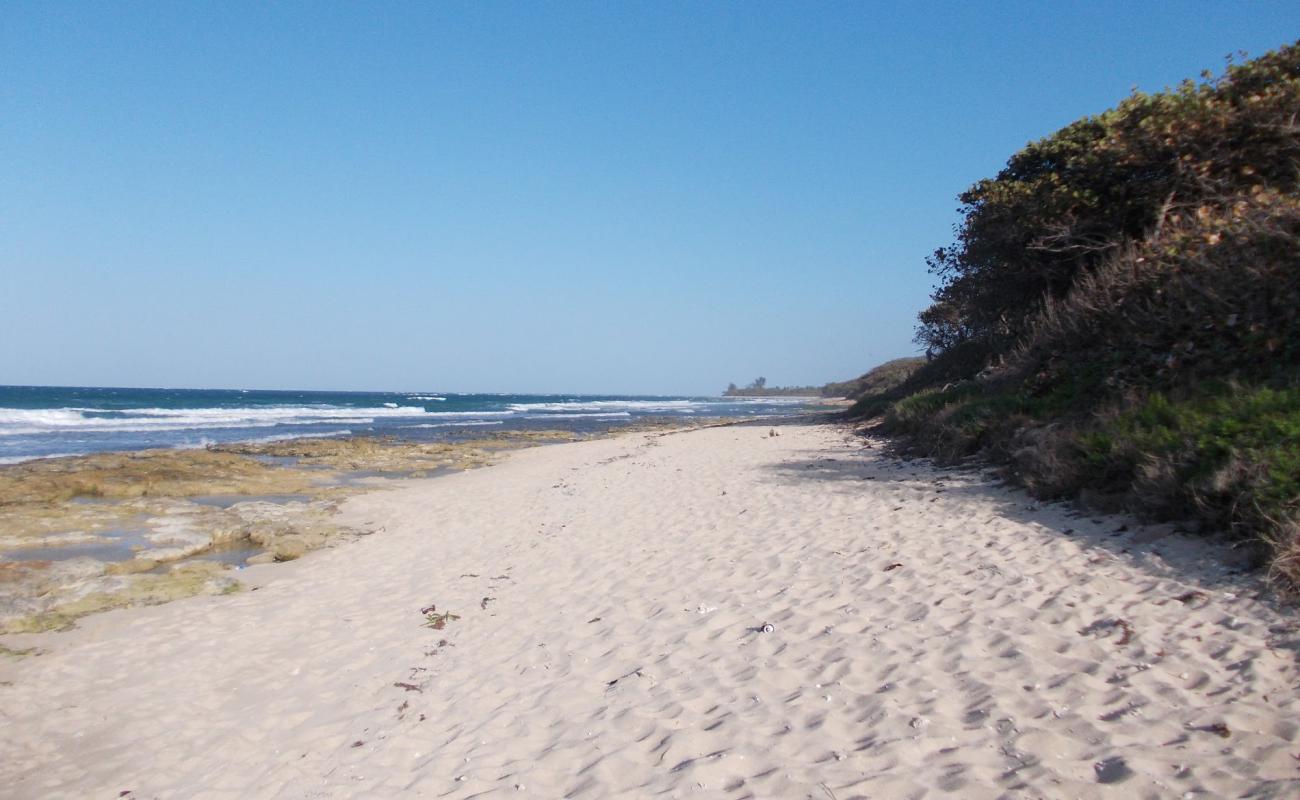 Photo de Los Cocos beach avec sable brillant et rochers de surface