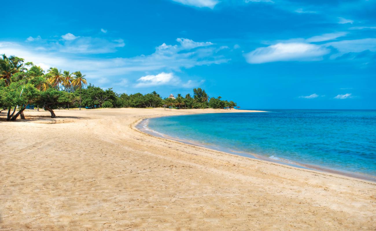 Photo de Plage des Villas Caméléon avec sable beige de surface