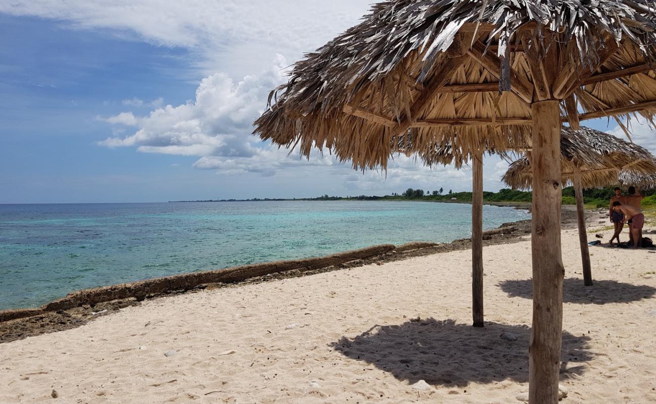 Photo de Coral beach avec sable beige & pierres de surface