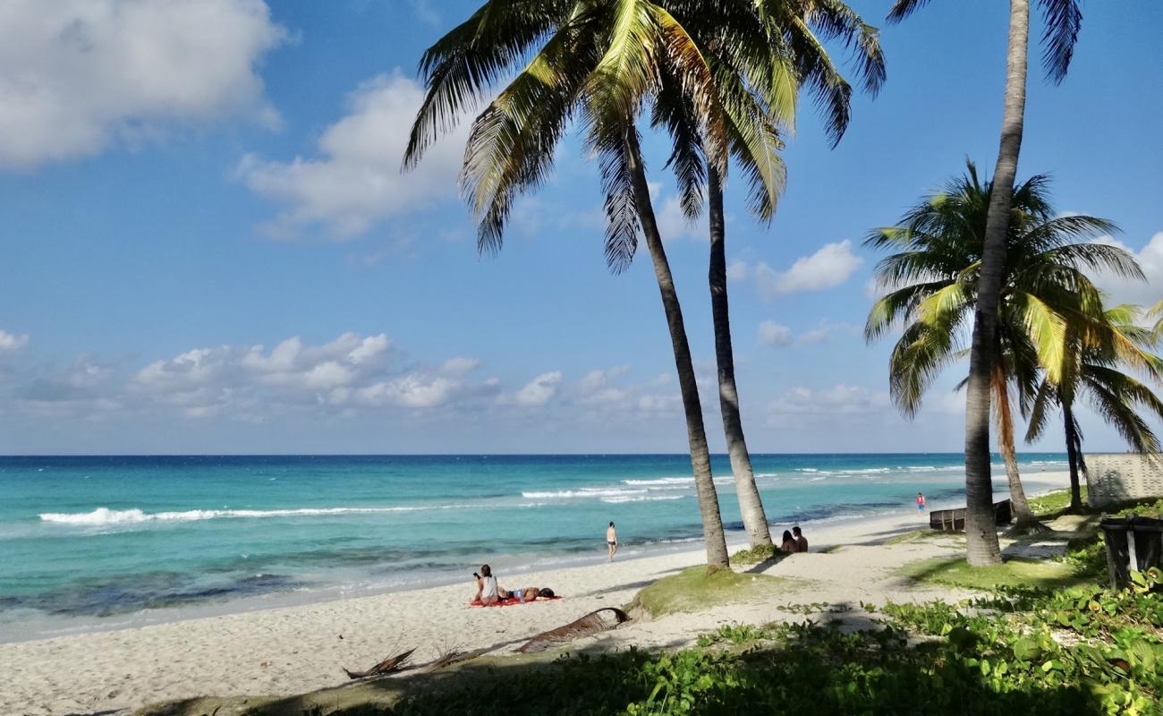 Photo de Plage de Varadero II avec sable fin et lumineux de surface