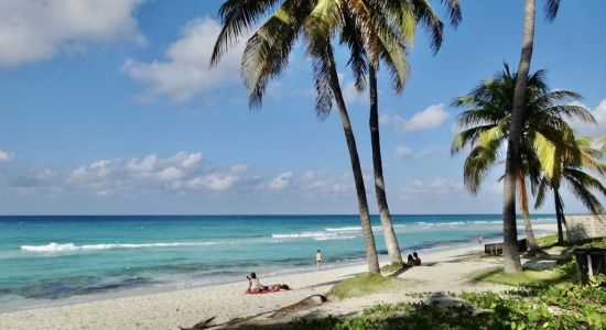 Plage de Varadero II