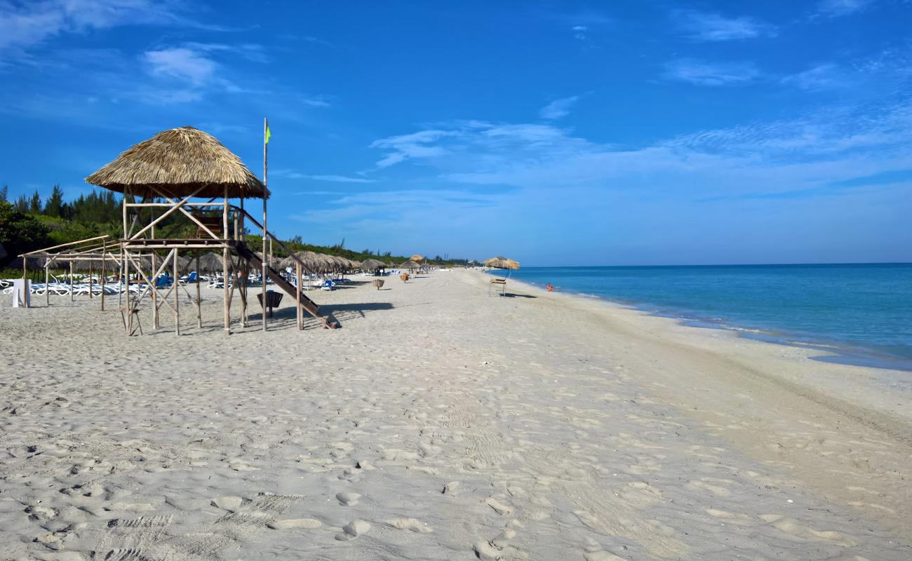 Photo de Plage de Varadero IV avec sable fin et lumineux de surface