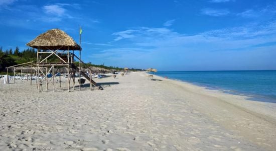 Plage de Varadero IV