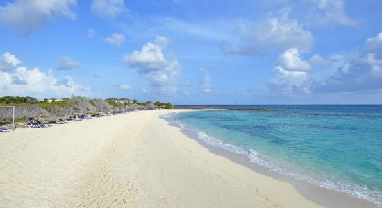 Plage de Melia Buenavista