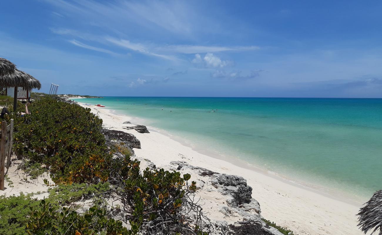 Photo de Plage de Cayo Santa Maria V avec sable fin et lumineux de surface