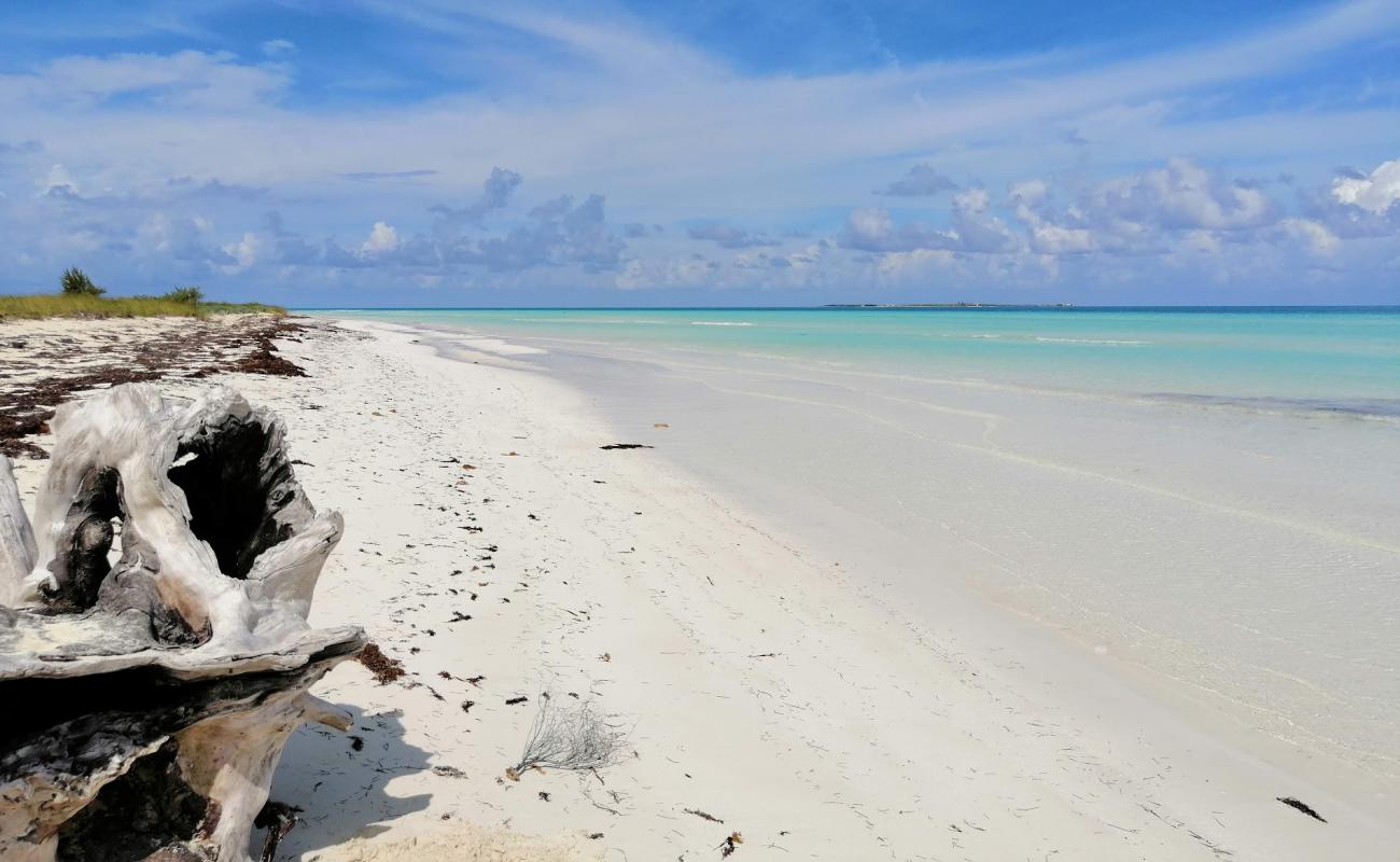 Photo de Playa Las Gaviotas avec sable fin blanc de surface