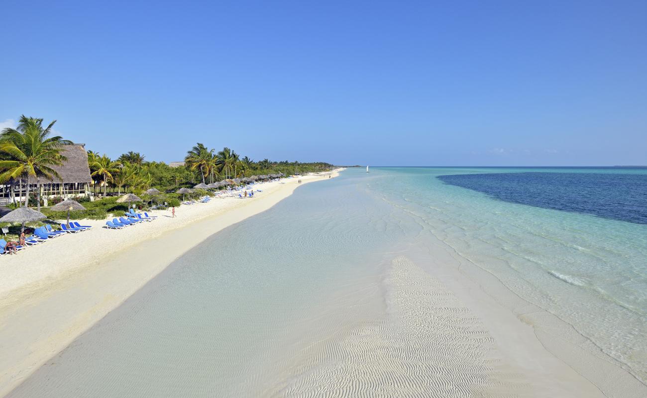 Photo de Cayo Guillermo avec sable fin et lumineux de surface