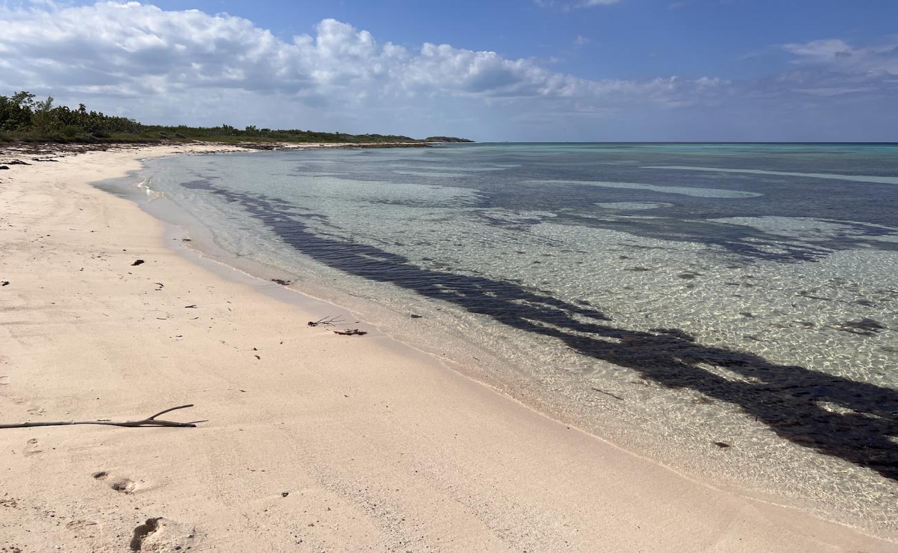 Photo de Playa Prohibida avec sable fin et lumineux de surface