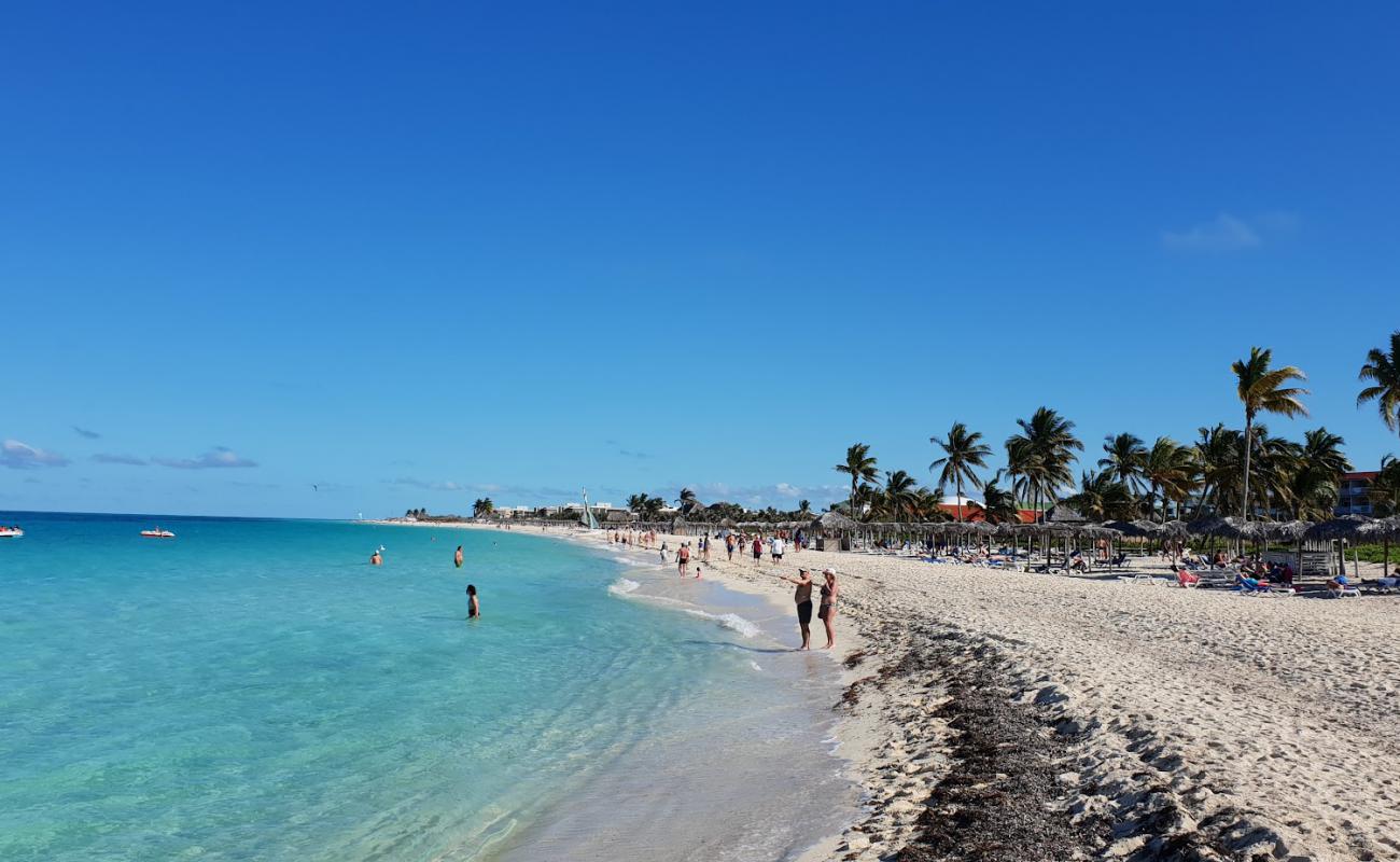 Photo de Playa Mojito avec sable fin et lumineux de surface