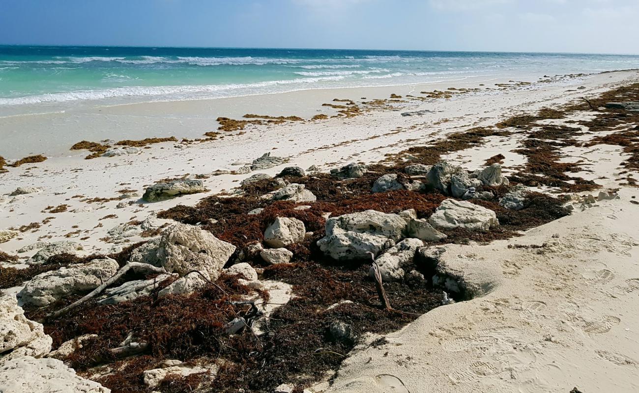 Photo de Playa Del Norte avec sable blanc de surface