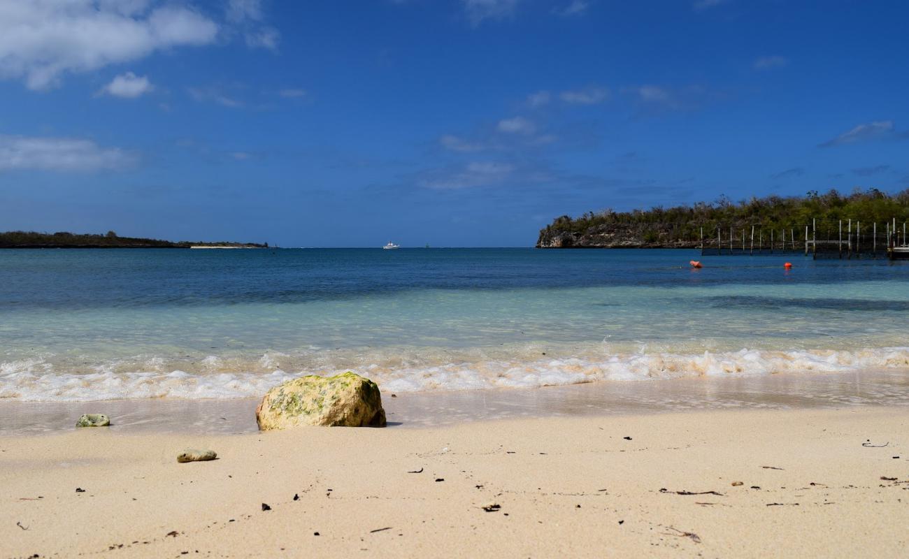 Photo de Playa La Guanas avec sable beige & galets de surface