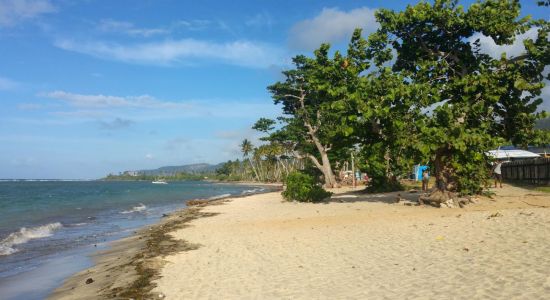 Playa Barigua