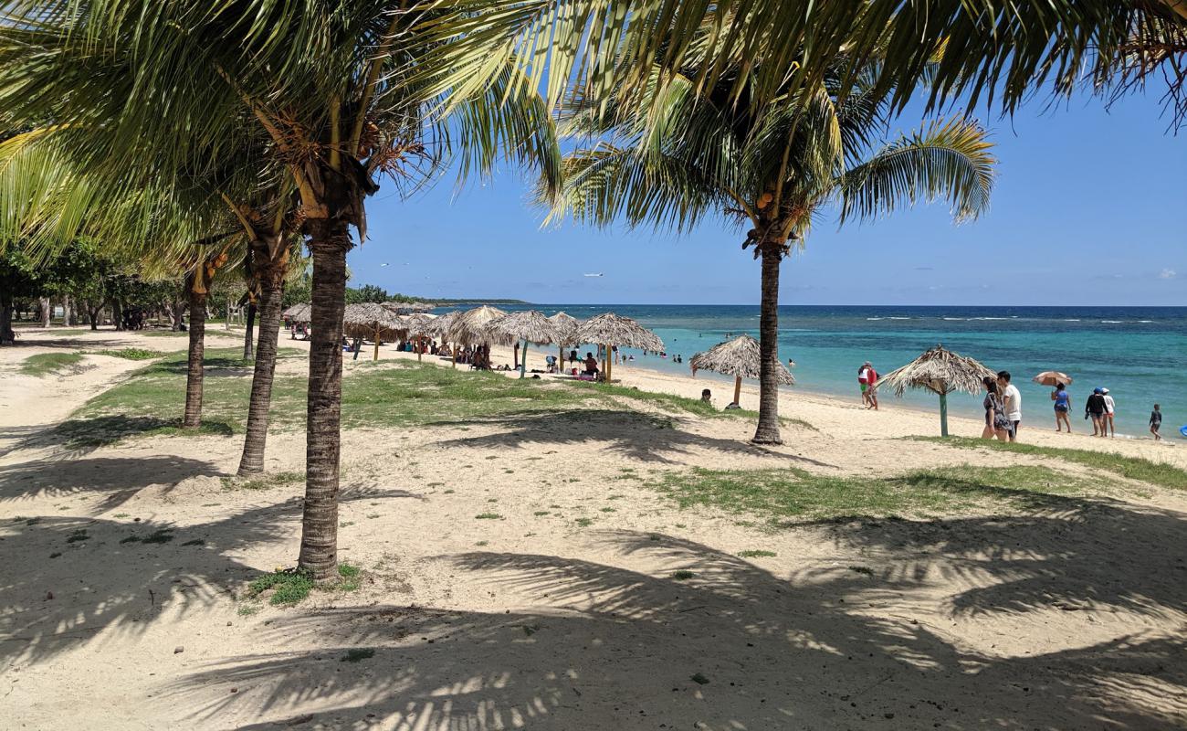 Photo de Playa Rancho Luna avec sable lumineux de surface