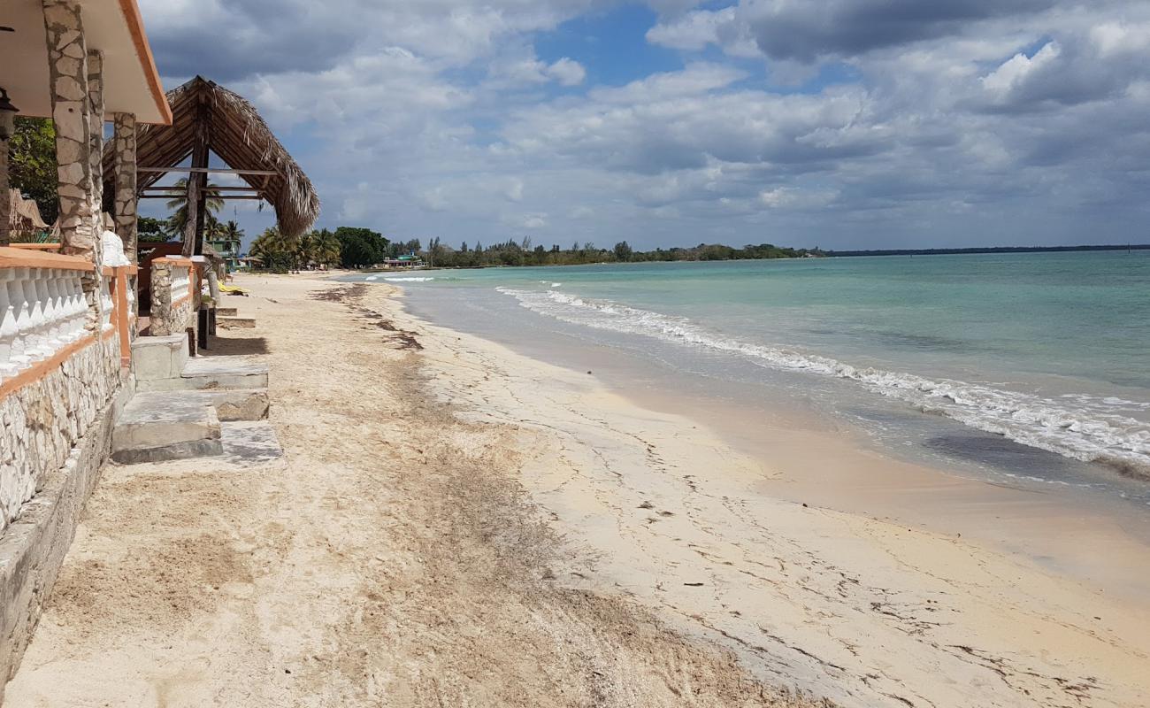 Photo de Playa de Larga avec sable beige de surface