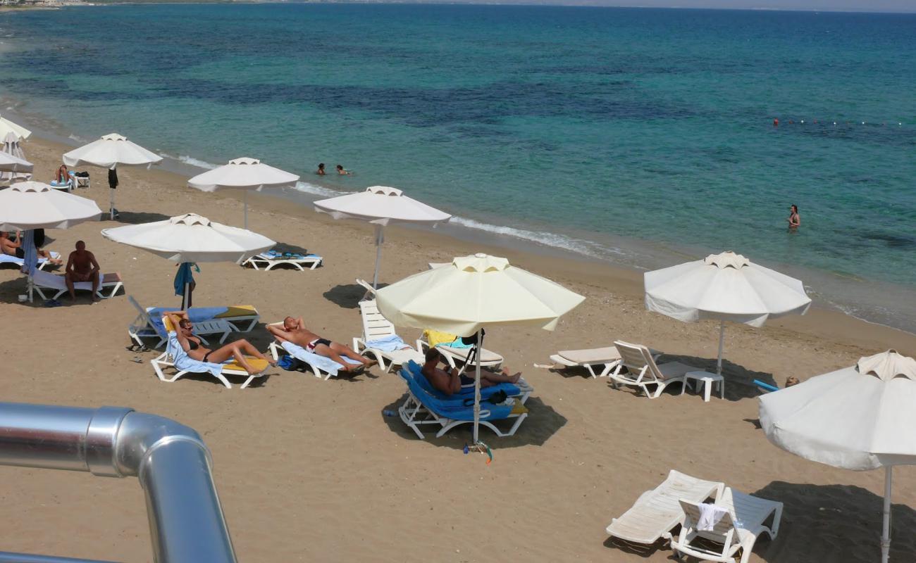 Photo de Venus beach avec sable beige fin de surface