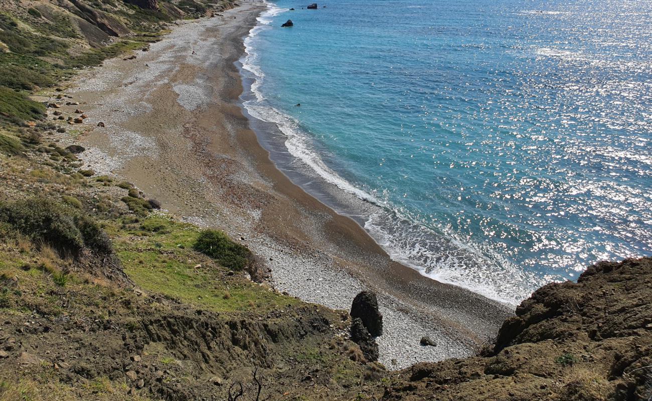 Photo de Aphrodite's rock beach avec galets gris de surface