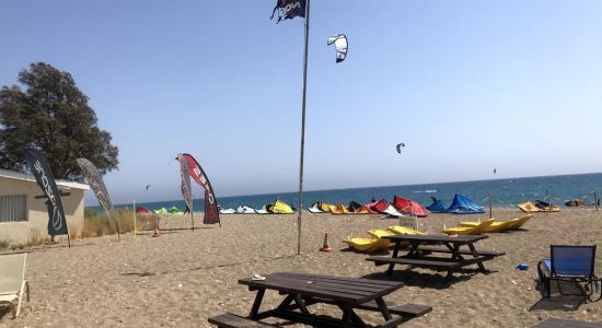 Lemmings beach