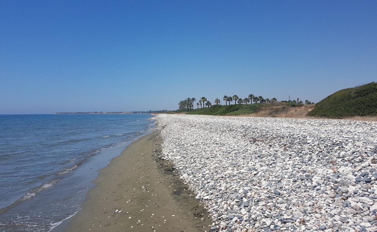 Photo de Mazotos beach avec sable lumineux de surface