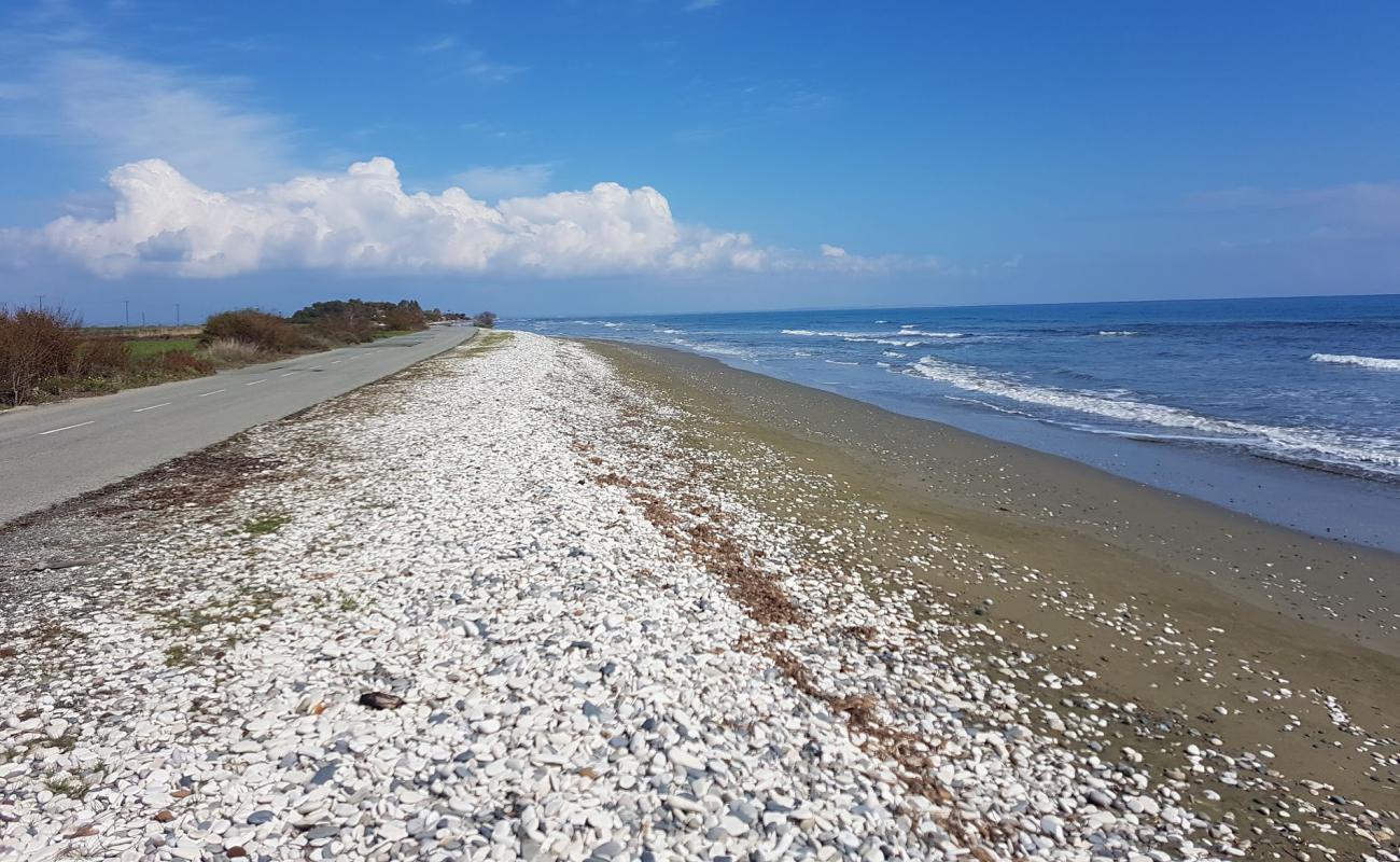 Photo de Larnaka beach avec sable gris de surface