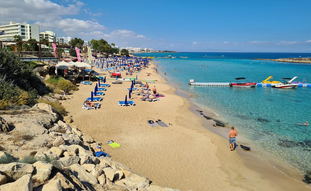 Photo de Fig Tree Bay avec sable fin et lumineux de surface