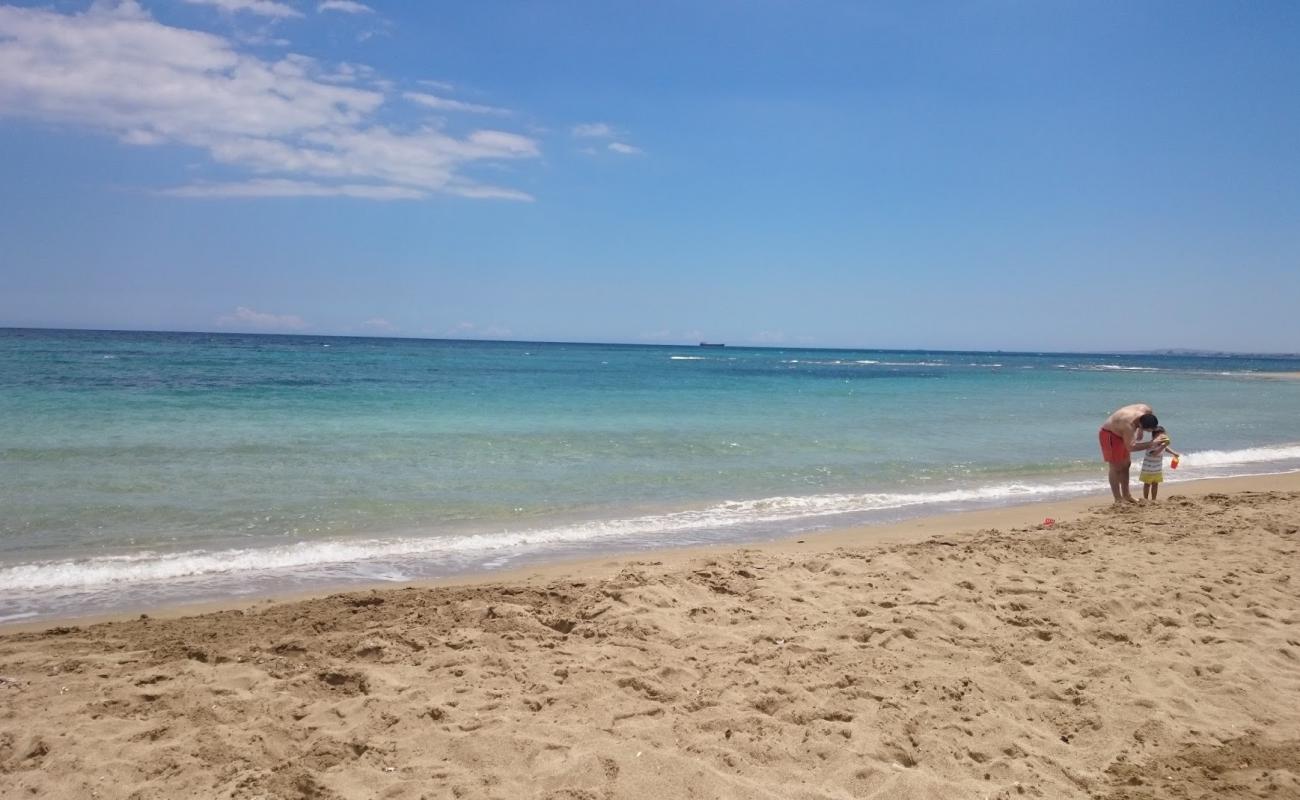 Photo de Plage de Salamis avec sable lumineux de surface