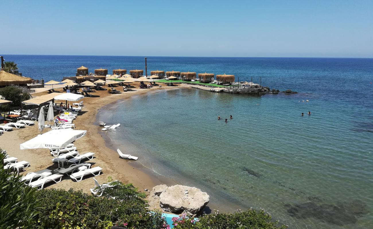 Photo de Eden Beach avec sable beige de surface