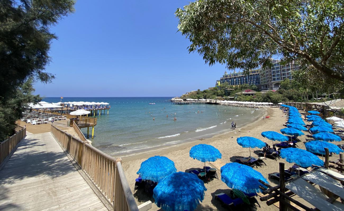 Photo de Merit Crystal Beach avec sable beige de surface