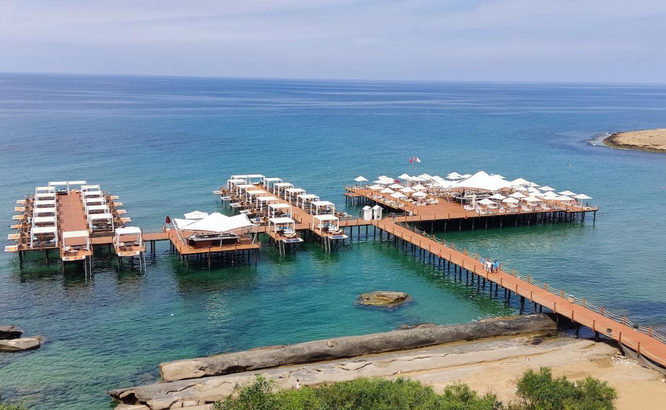 Photo de Elexus Beach avec sable beige de surface
