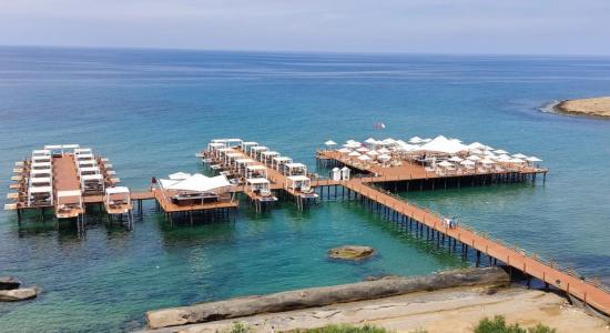 Elexus Beach