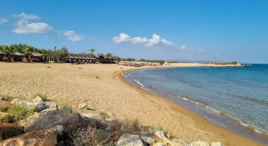Noah's Ark Beach