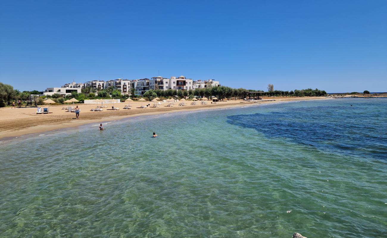 Photo de Thalassa Beach avec sable beige de surface