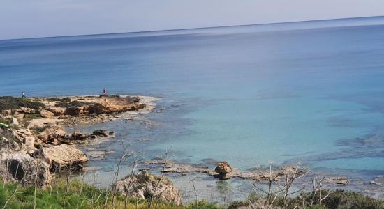 Mushroom Beach